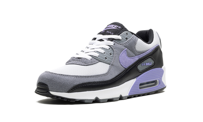 Air Max 90 "Light Thistle" DM0029 014
