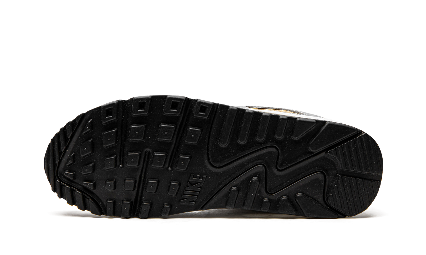 AIR MAX 90 SE MNS WMNS"Metallic" DJ6208 100