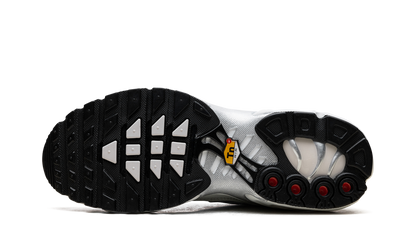 Air Max Plus WMNS"Light Silver" FV8480 002