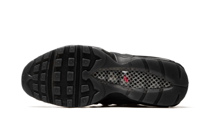 Air Max 95 "Fish Scales" DQ3979 001