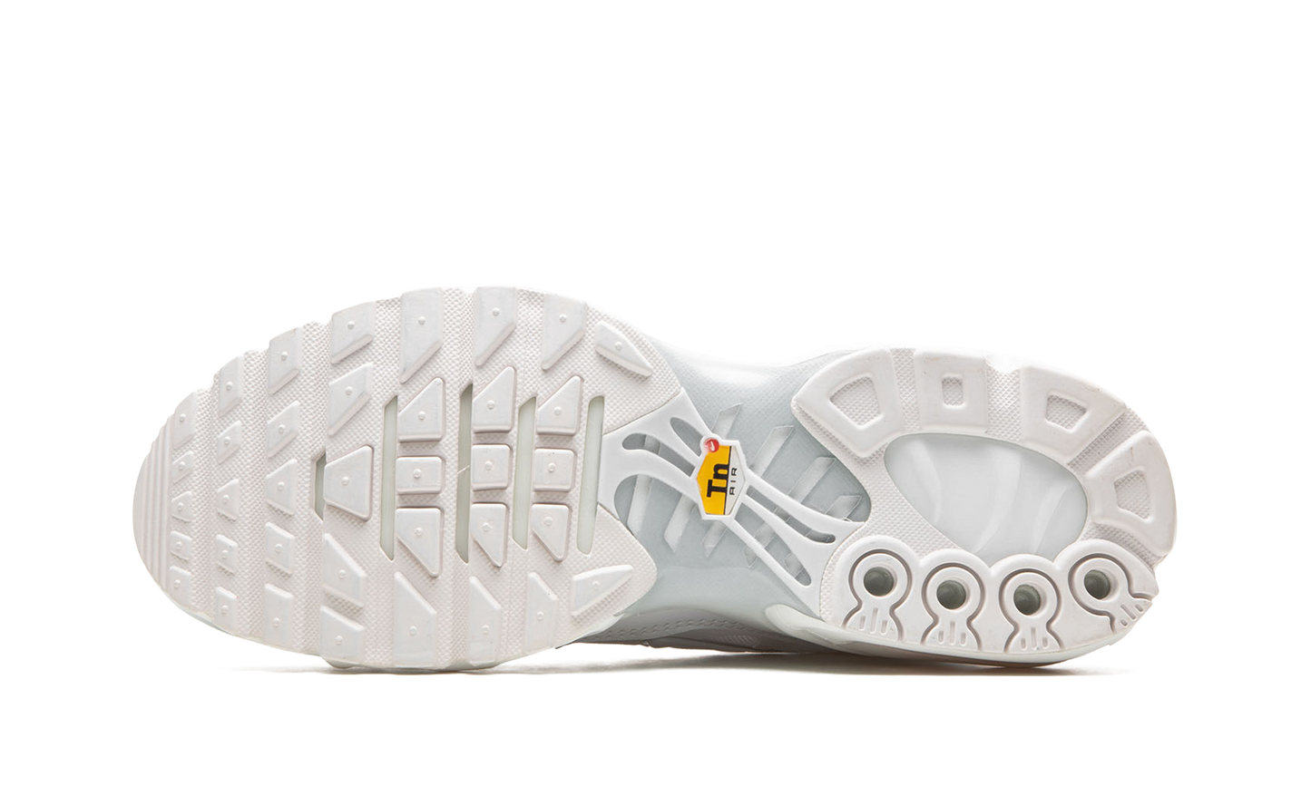 AIR MAX PLUS WMNS"Pure Platinum" DM2362 100