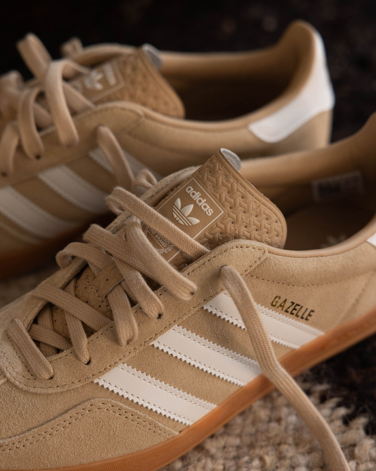 Gazelle Indoor