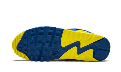 Air Max 90 QS "VIOTECH 2.0" CD0917 300