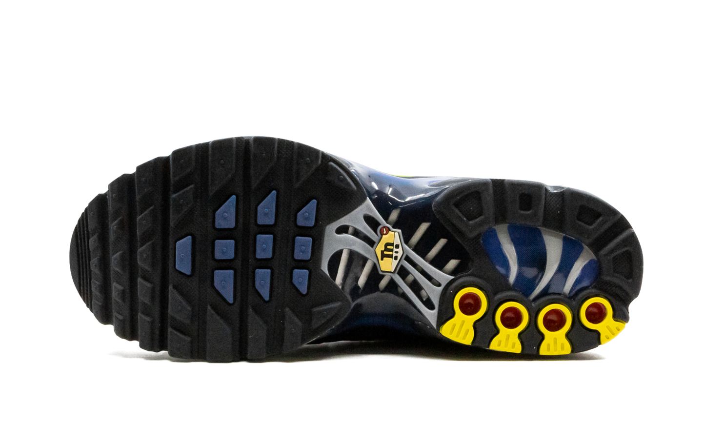 Air Max Plus (GS) CD0609 401