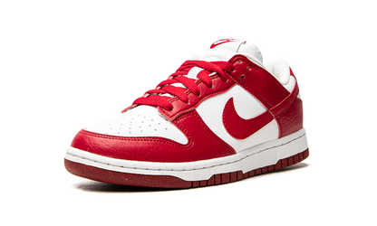 DUNK LOW NEXT NATURE WMNS"University Red" DN1431 101