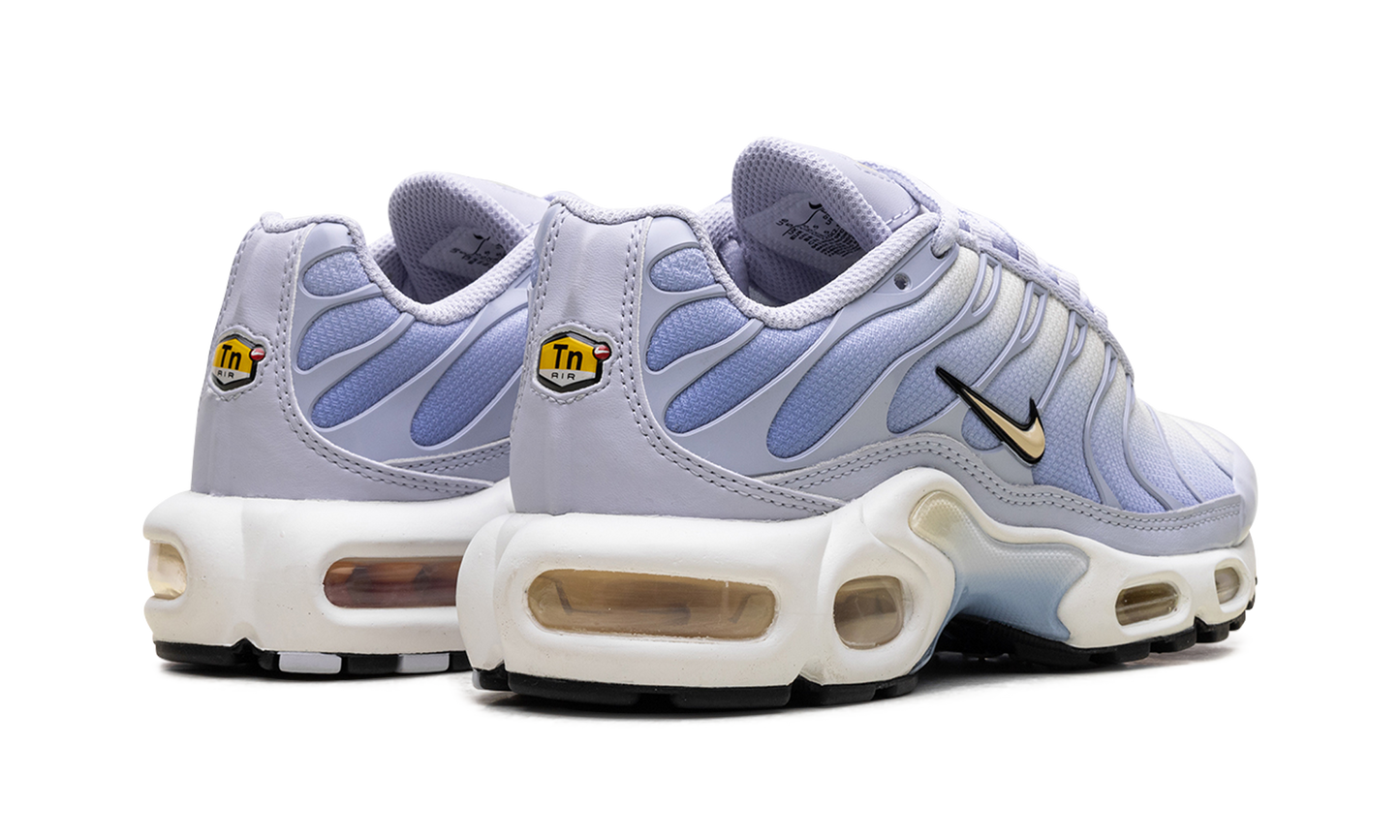 Air Max Plus WMNS"Daybreak" DZ3670 004